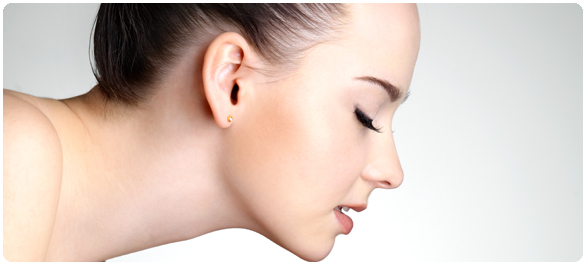 ระบบศีรษะและลำคอ ระบบศีรษะและลำคอ