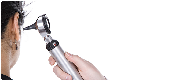 ระบบหู-คอ-จมูก ระบบหู-คอ-จมูก