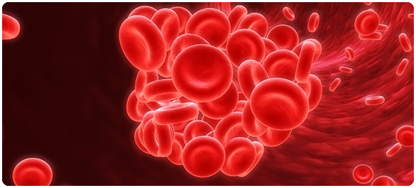 ระบบโลหิตวิทยา ระบบโลหิตวิทยา