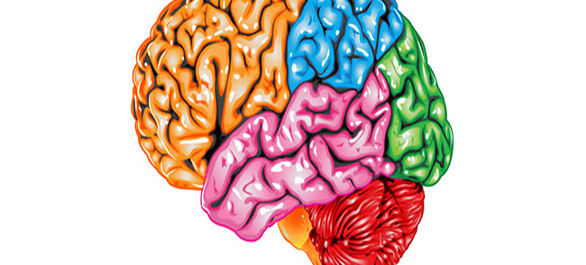 ลมชักฉันรักเธอ2 ลมชักฉันรักเธอ2