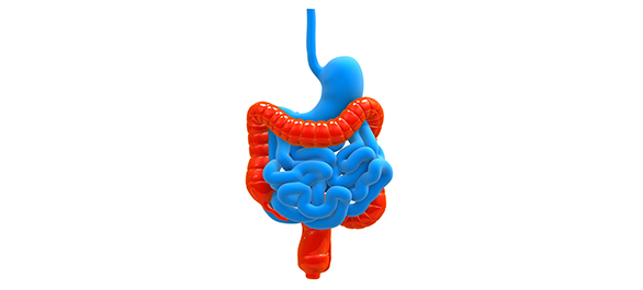 ลำไส้ใหญ่ <a href='https://www.honestdocs.co/constipation' target='_blank'>ลำไส้ใหญ่</a>