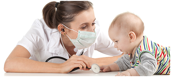 สัตว์เลี้ยงลูกด้วยนม สัตว์เลี้ยงลูกด้วยนม