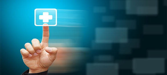 สารมีพิษจากแมลง-2