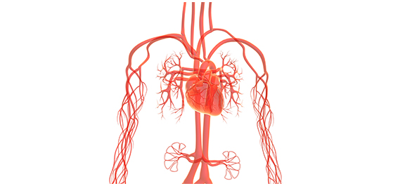 สิ่งหลุดอุดหลอดเลือด สิ่งหลุดอุดหลอดเลือด
