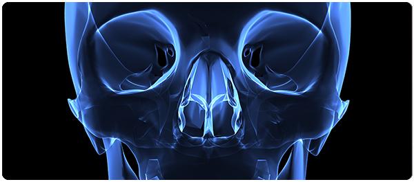 หนูตัวเล็กแต่ก่อเหตุใหญ่