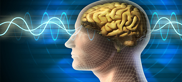 หลับระทม-7 หลับระทม-7