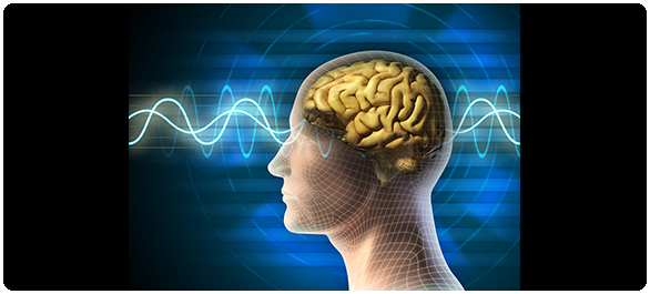 หวาดระแวง หวาดระแวง