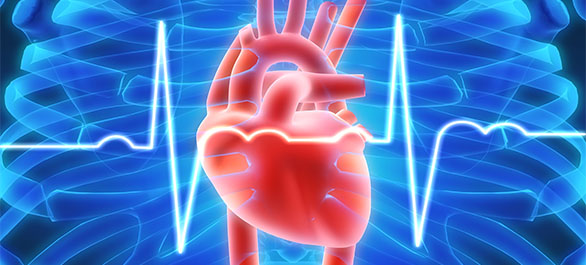 หัวใจแดนซ์ไม่เป็นจังหวะ-1 หัวใจแดนซ์ไม่เป็นจังหวะ-1