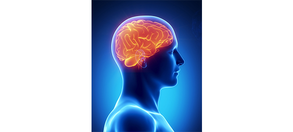 หาวไปตามๆกัน-1