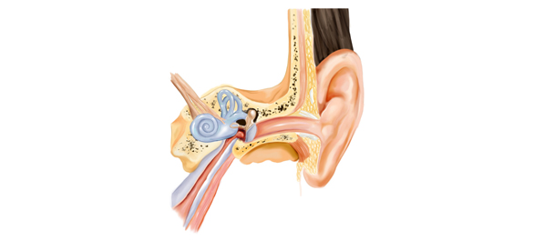 เสียงแห่งความเงียบ เสียงแห่งความเงียบ่
