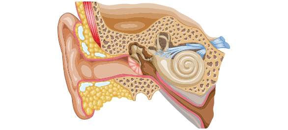 หูดับ-หูตึง-หูหนวก หูดับ-หูตึง-หูหนวก