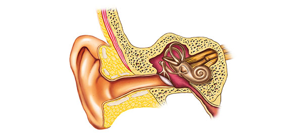 หูตึงเพราะตัวเอง-1 หูตึงเพราะตัวเอง-1
