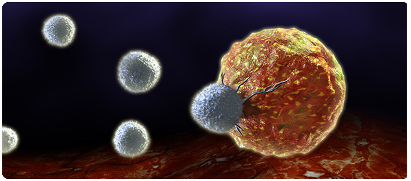 อะไรกันภูมิคุ้มกันบำบัด อะไรกันภูมิคุ้มกันบำบัด
