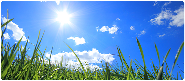 อันตรายของเสาส่งสัญญานคลื่นแม่เหล็กไฟฟ้า