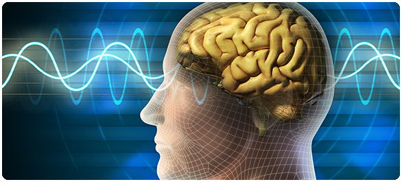 อัมพฤกษ์-อัมพาต-แขน-ขา-อ่อนแรง