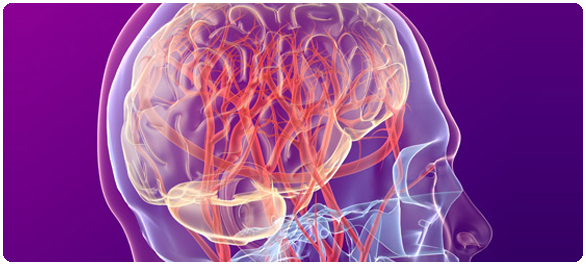 อัมพาต  360 องศา อัมพาต  360 องศา