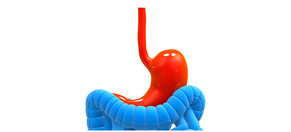 อาการแสบร้อนกลางอก <a href='https://www.honestdocs.co/what-is-gerd' target='_blank'>อาการแสบร้อนกลางอก</a>