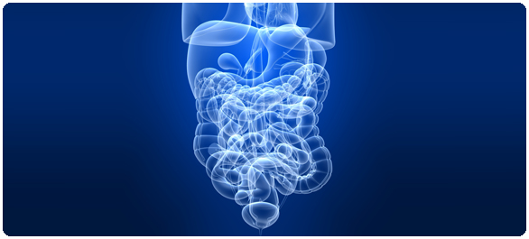 อุจจาระเป็นเลือด