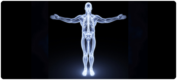 ฮอร์โมนจากต่อมพาราไทรอยด์ ฮอร์โมนจากต่อมพาราไทรอยด์