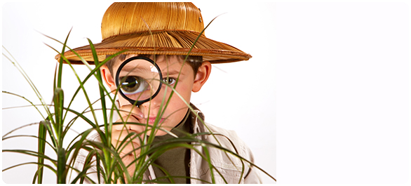 ฮอร์โมนเพศชาย ฮอร์โมนเพศชาย