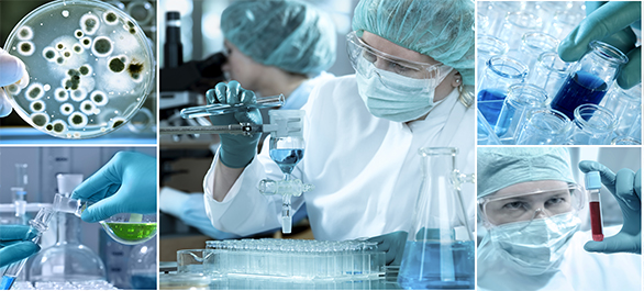 ฮีสโตพลาสโมสิส-2 ฮีสโตพลาสโมสิส-2