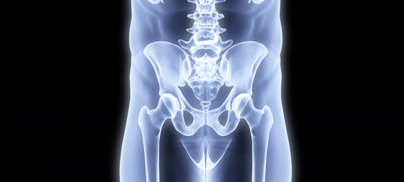 เชิงกราน เชิงกราน