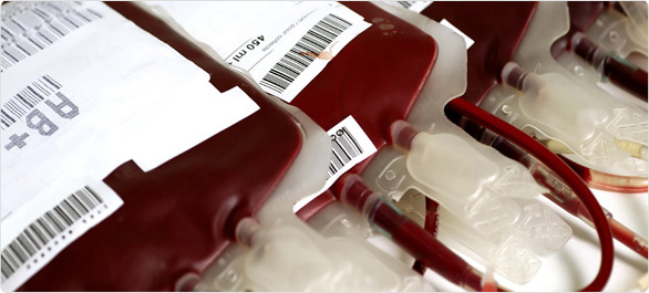 เซลล์ต้นกำเนิด <a href='https://www.honestdocs.co/stemcell' target='_blank'>เซลล์ต้นกำเนิด</a>