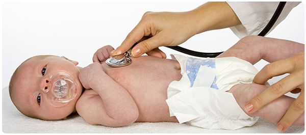 เท้าปุกเท้าของหนู เท้าปุกเท้าของหนู