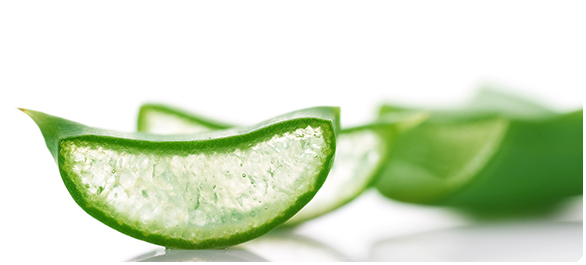 เบื่ออาหาร เบื่ออาหาร