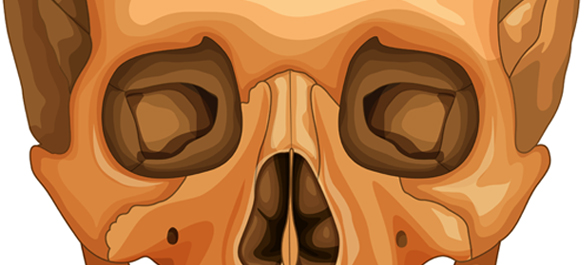 เบ้าตา เบ้าตา