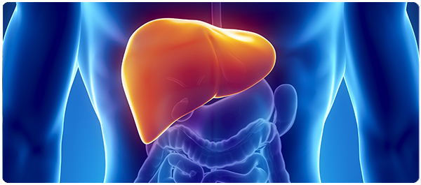 เมื่อตับถูกกิน  เมื่อตับถูกกิน