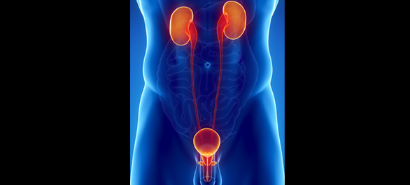 เม็ดเลือดแดงในปัสสาวะ เม็ดเลือดแดงในปัสสาวะ