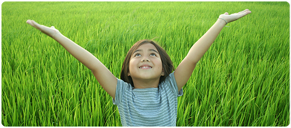 เรื่องของคนขี้แพ้ เรื่องของคนขี้แพ้