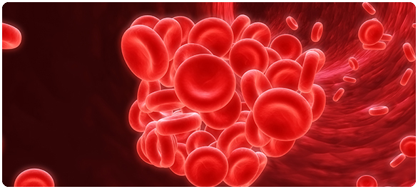 เลือดออกผิดปกติ เลือดออกผิดปกติ