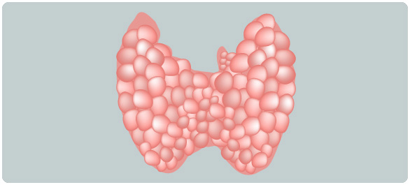 เล่าเรื่องไอโอดีน