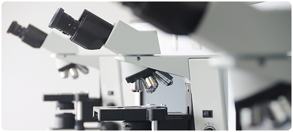 เอทิปปิเคิลลิ้มโฟไซต์ เอทิปปิเคิลลิ้มโฟไซต์