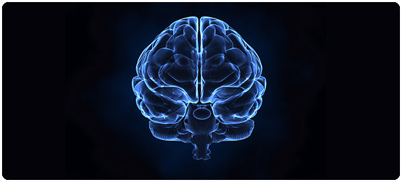 เอ็มเอสกับวิตามินดี เอ็มเอสกับวิตามินดี