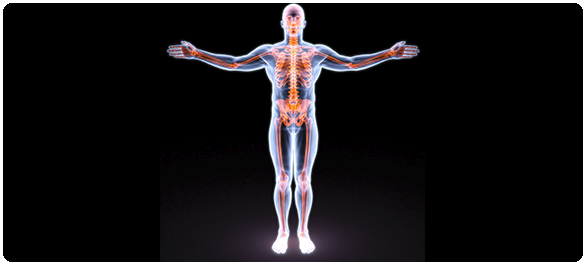 แคลเซียมในอาหาร แคลเซียมในอาหาร