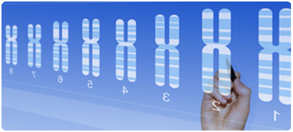 โครโมโซม <a href='https://www.honestdocs.co/triple-x-syndrome' target='_blank'>โครโมโซม</a>