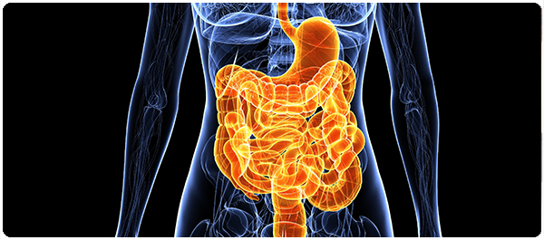 โพรไบโอติกจุลินทรีย์มหัศจรรย์ โพรไบโอติกจุลินทรีย์มหัศจรรย์