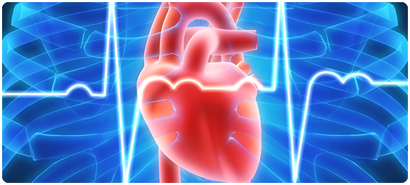 โพแทสเซียมในเลือดสูง