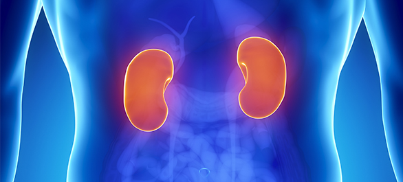 โภชนบำบัดสำหรับผู้ป่วยโรคไตเรื้อรังตอน-3 โภชนบำบัดสำหรับผู้ป่วยโรคไตเรื้อรังตอน-3