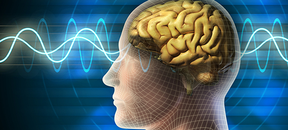 โมโนเอมีน โมโนเอมีน