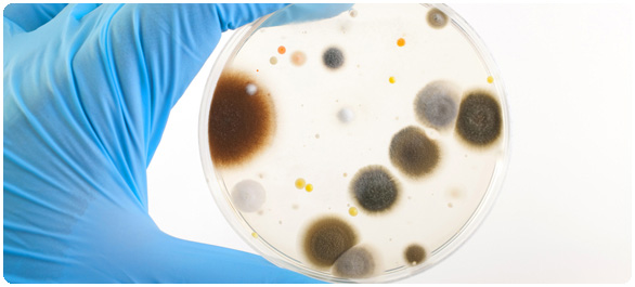 โรคจากเครื่องปรับอากาศ โรคจากเครื่องปรับอากาศ