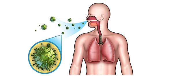 โรคติดเชื้อ <a href='https://www.honestdocs.co/uti-urinary-tract-infection' target='_blank'>โรคติดเชื้อ</a>