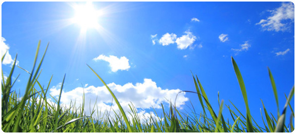 โรคที่มากับฤดูร้อน โรคที่มากับฤดูร้อน