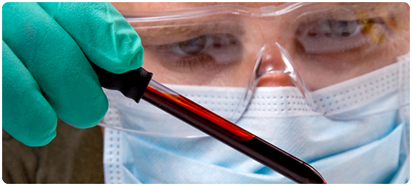 ไกลโคโปรตีน ไกลโคโปรตีน