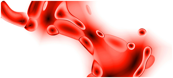 ไขกระดูก <a href='https://www.honestdocs.co/anemia' target='_blank'>ไขกระดูก</a>