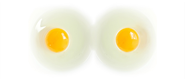 ไข่ขาวที่มีคุณ ไข่ขาวที่มีคุณ