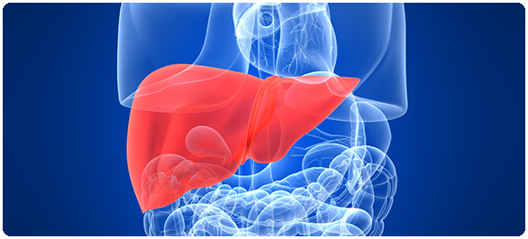 ไชด์พิวสกอร์ ไชด์พิวสกอร์